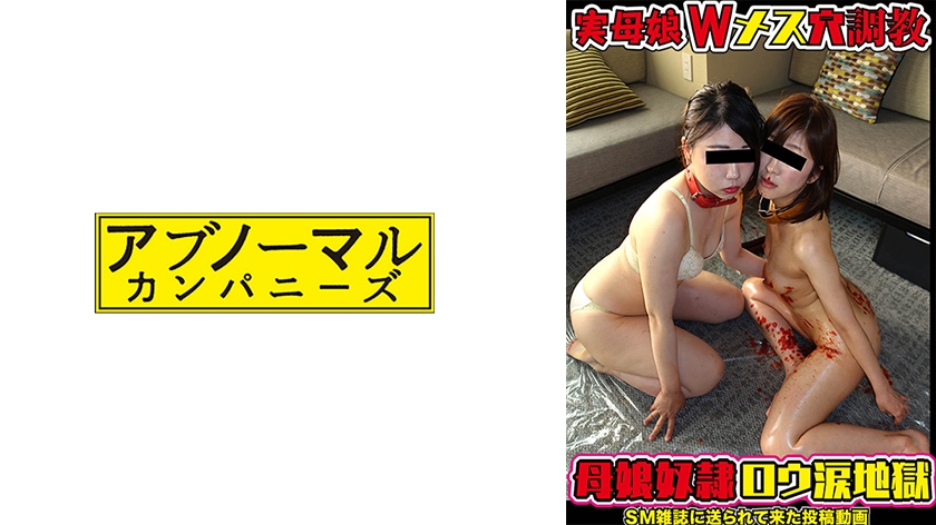 481SACZ308