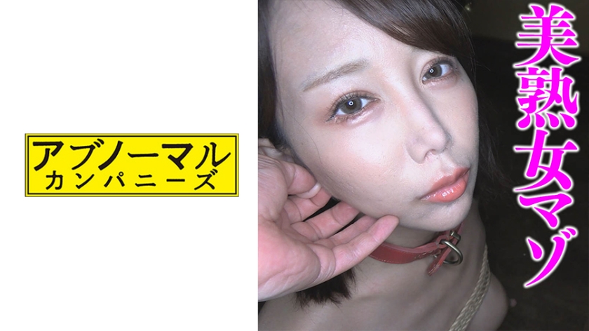481SACZ345