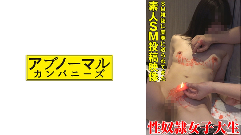481SACZ373