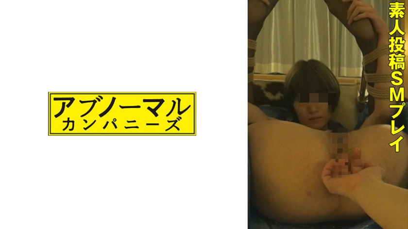 481SACZ414