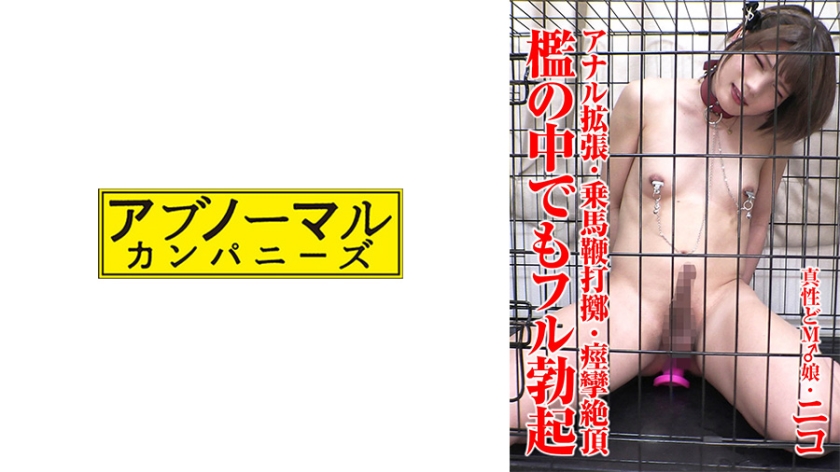 481SACZ431