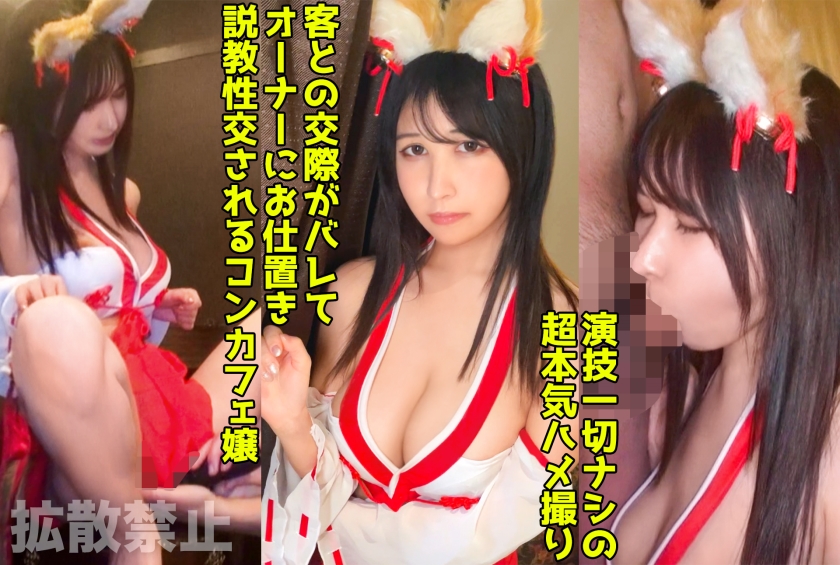 498DDHP040
