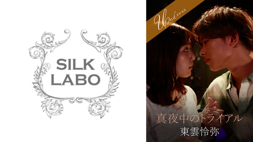 220SILKU095